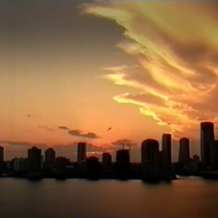 Firebird over Miami