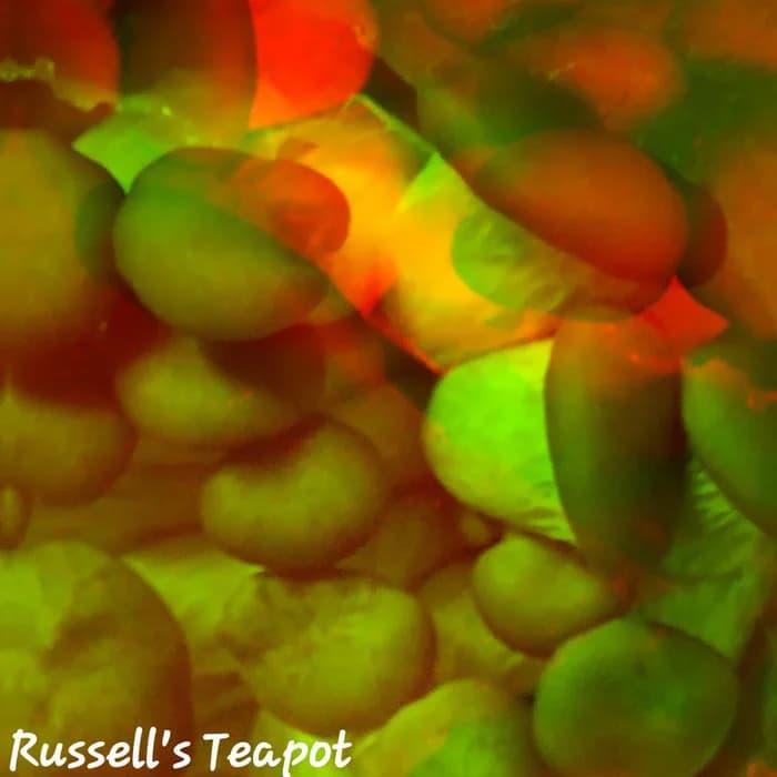 Music to grow Mushrooms by