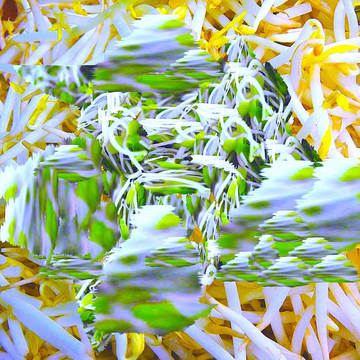 Spring Sprouts Compilation (2012)