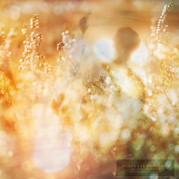 Desolate Horizons - Imagining Peace (Extended Versions)