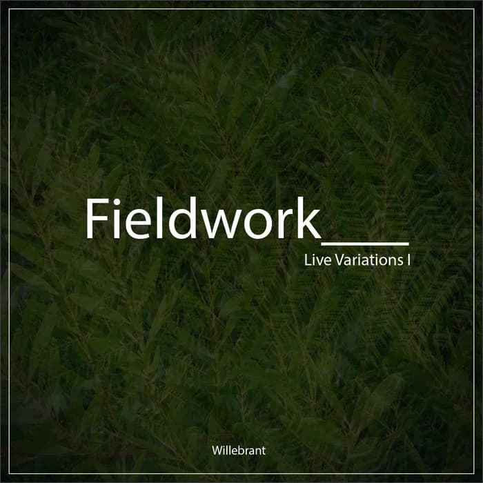 Fieldwork - Live Variations I