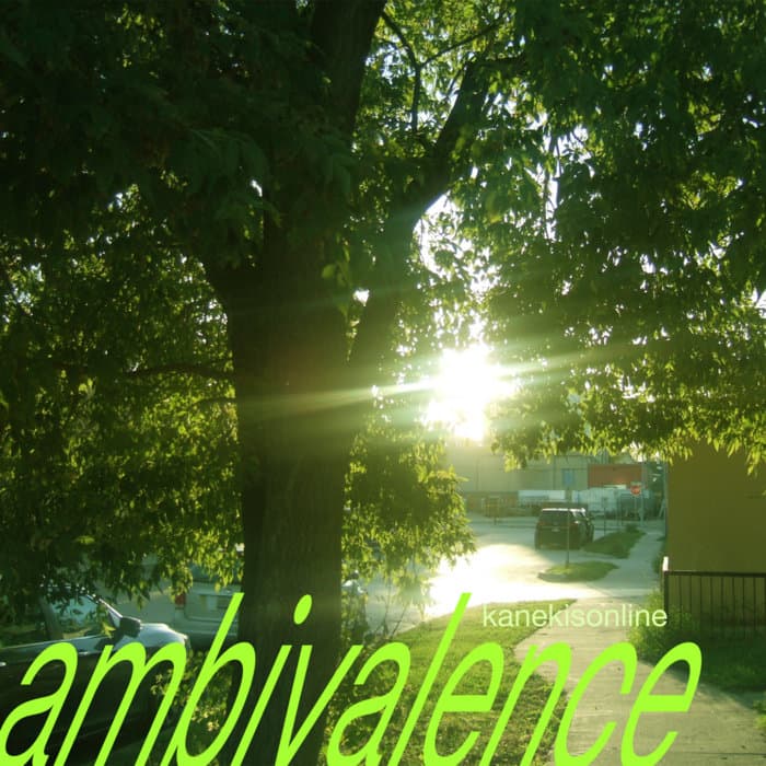 ambivalence