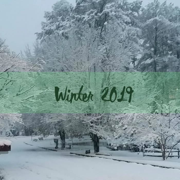 IHNDIGS016 // Winter 2019