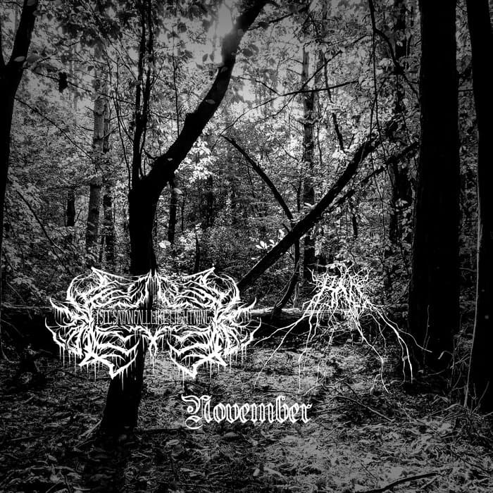 November (split with I See Satan Fall Like Lightning)