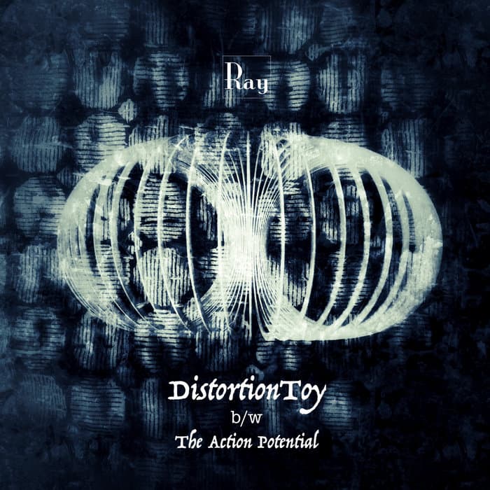 DistortionToy / The Action Potential