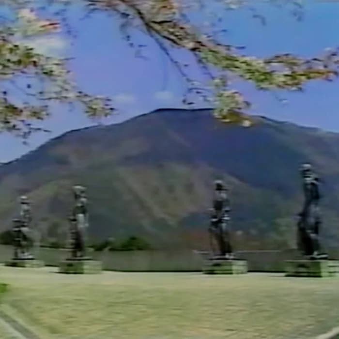 第二の心臓