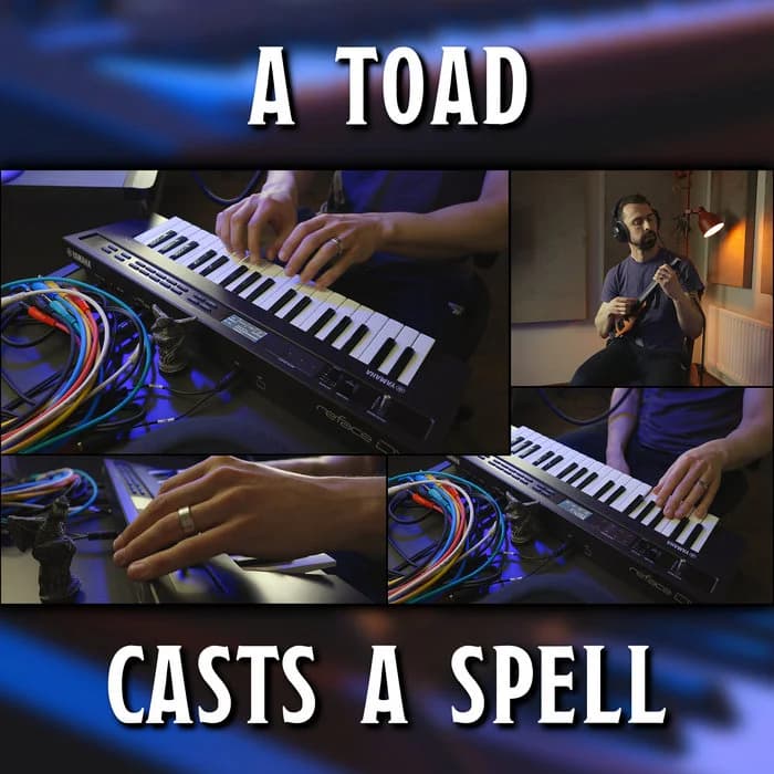 A Toad Casts a Spell