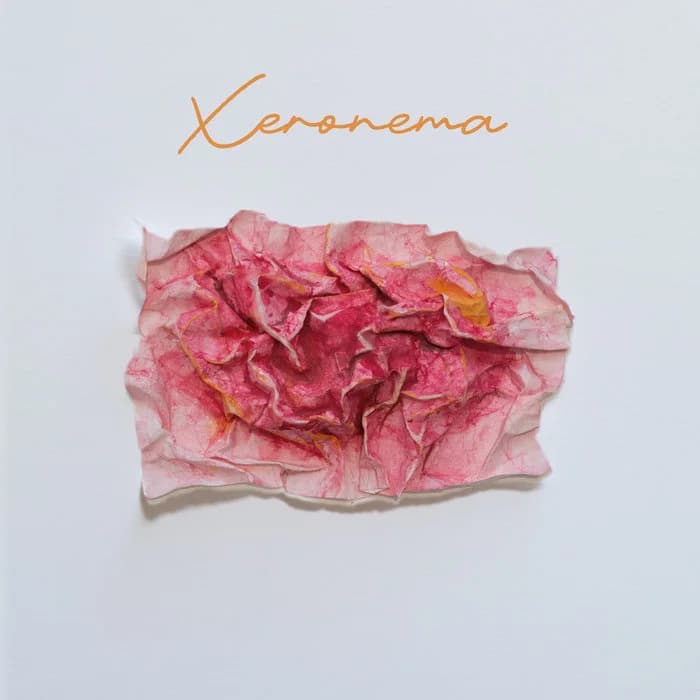 Xeronema