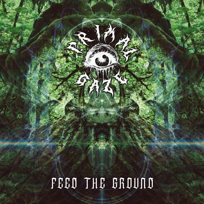 Feed The Ground