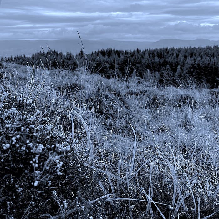 VIII - A Strange Spring Evening