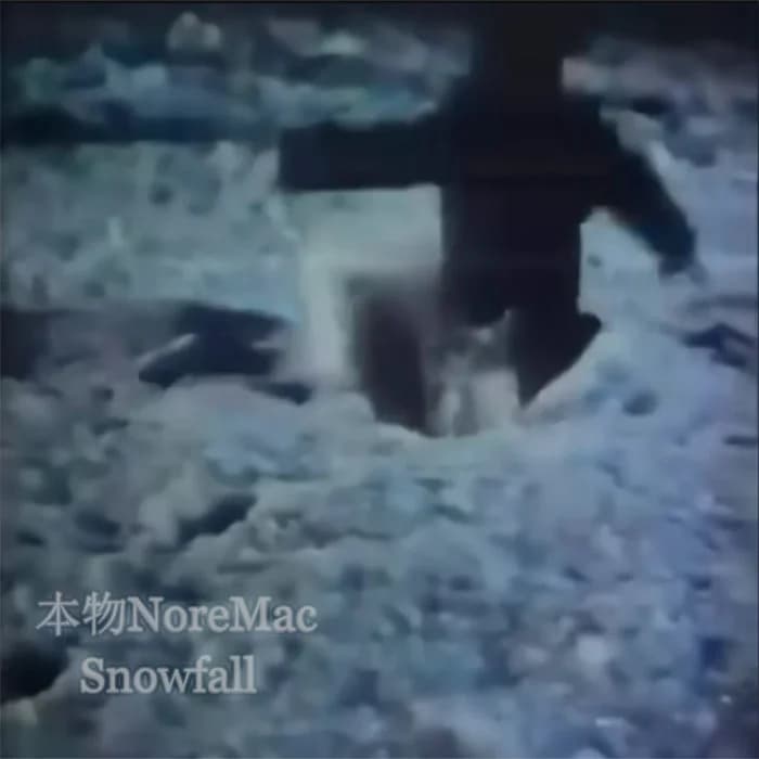 Snowfall