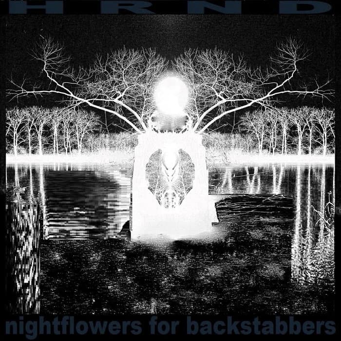 nightflowers for backstabbers