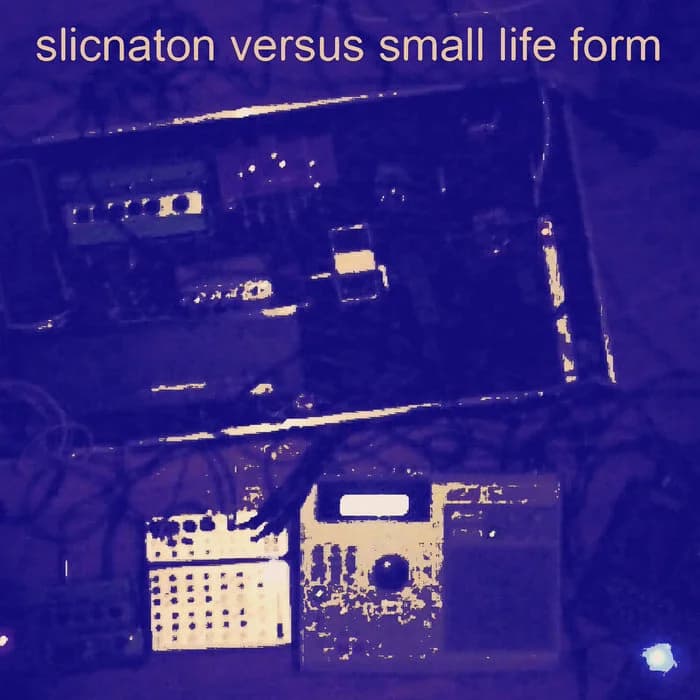 slicnaton versus small life form