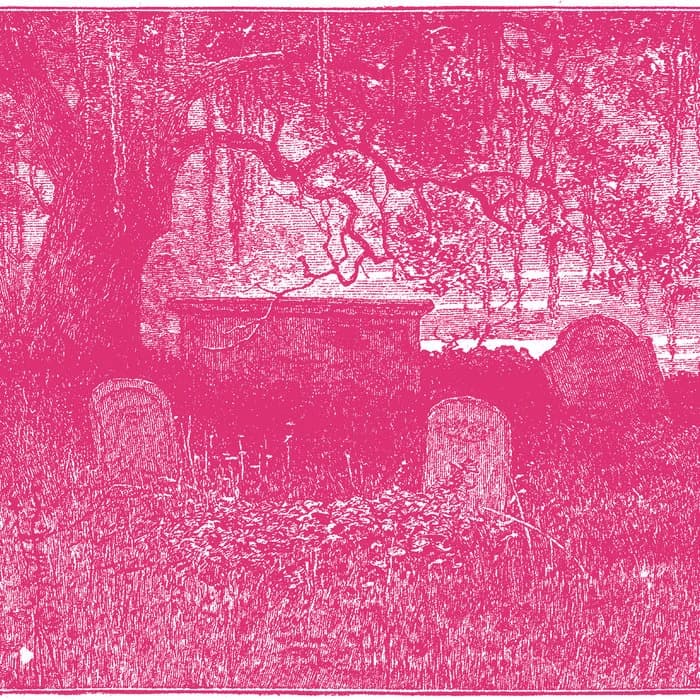 Veils Falling VII – A Transcendental Guide to ECHØVEIL