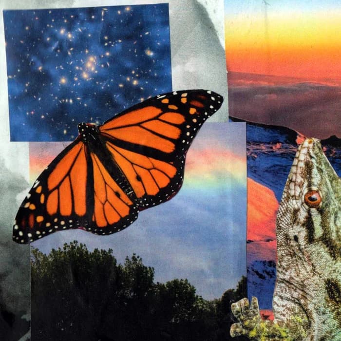 Renewal: A Benefit Compilation for Travis D. Johnson