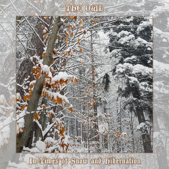 In Times of Snow and Hibernation