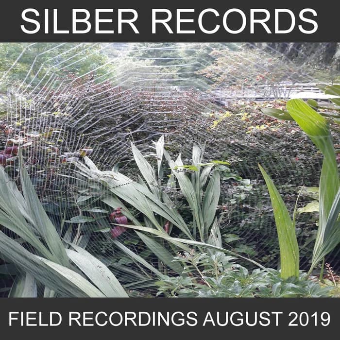 August Fields 2019 - Complete Collection