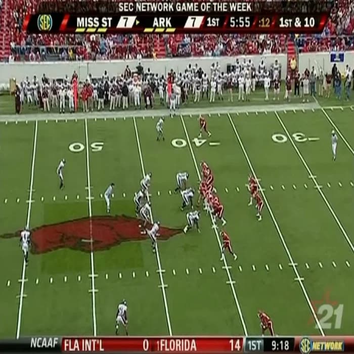 hogs