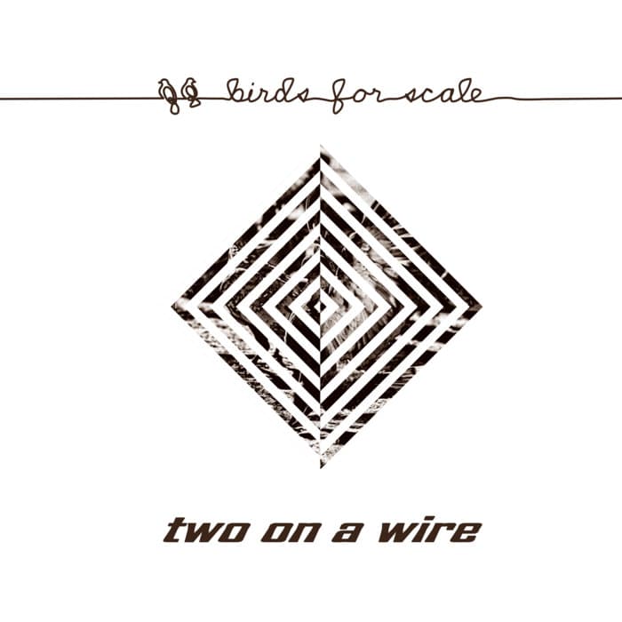Two on a Wire