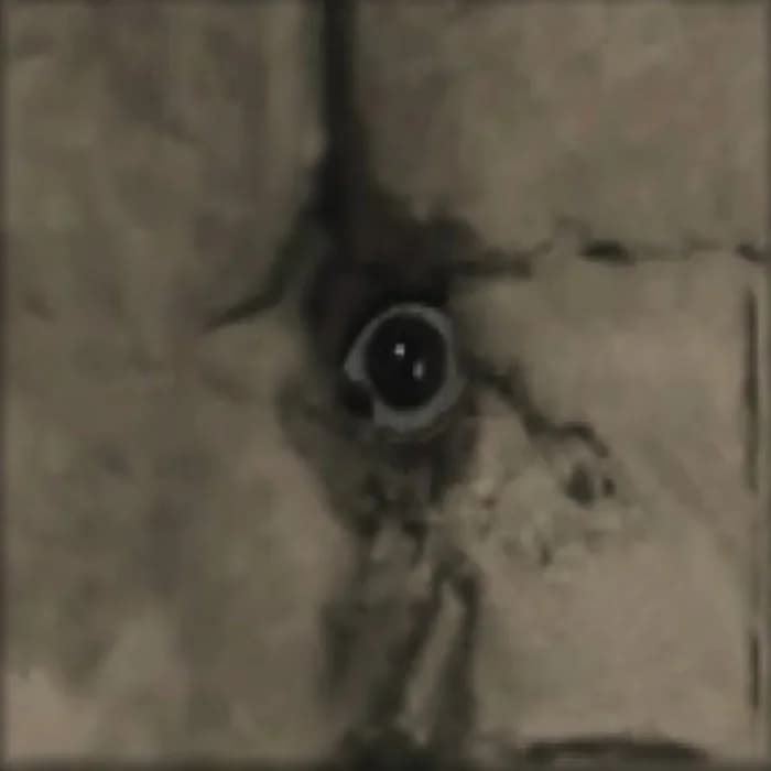 Total Recoil