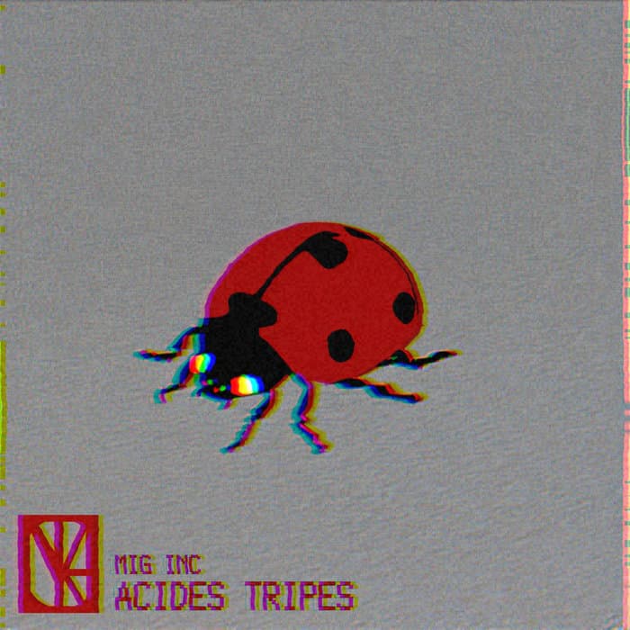 Acides Tripes