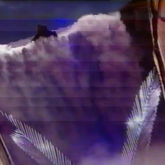 Ｆｌａｍｉｎｇｏ🦩Ｐａｒｋ