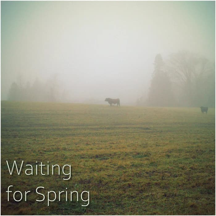 Waiting for Spring