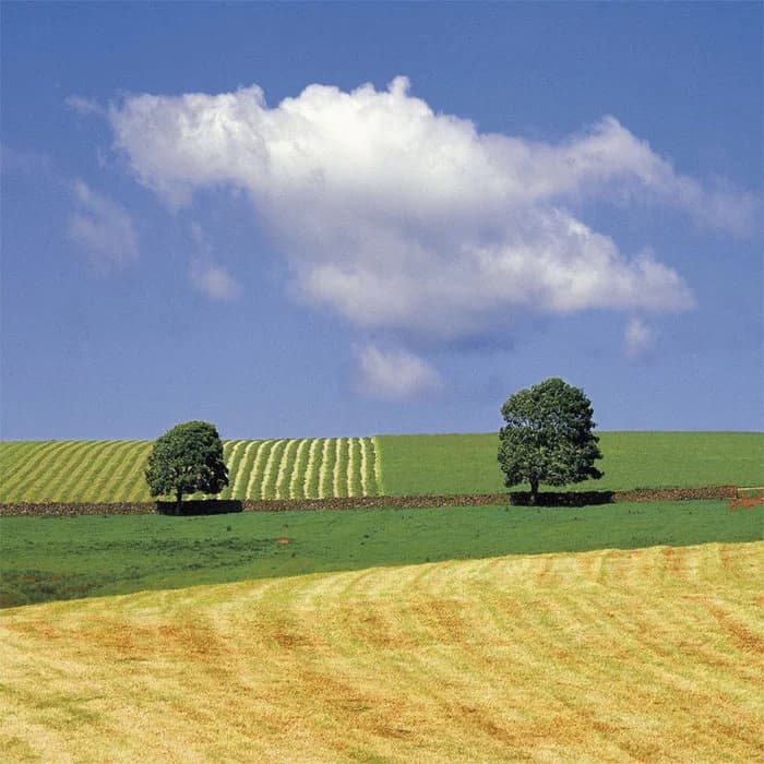 Autumn, 2006