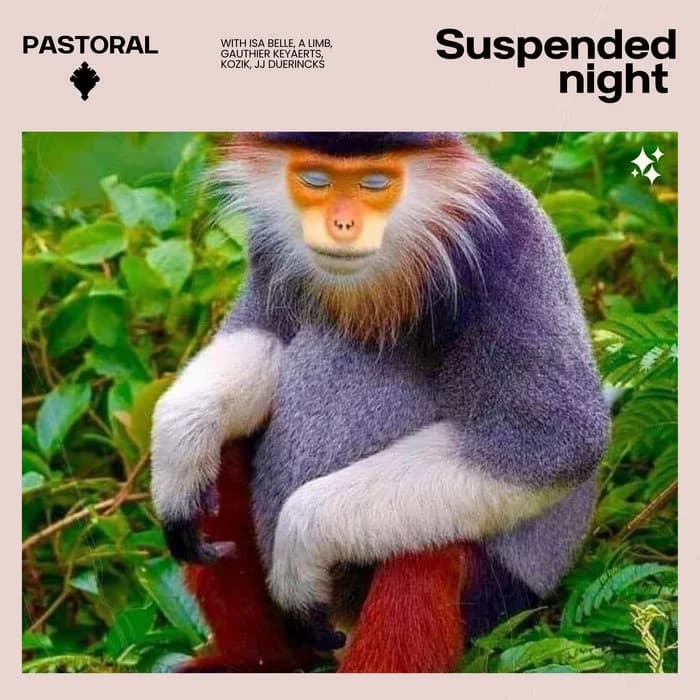 Suspended Night