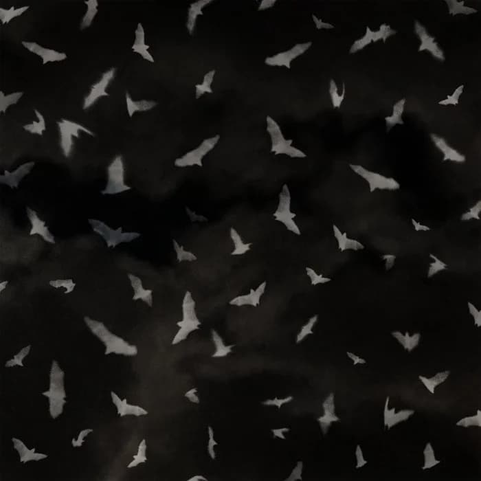 Celebrating The Bat Chapter 1: Darkness Falls