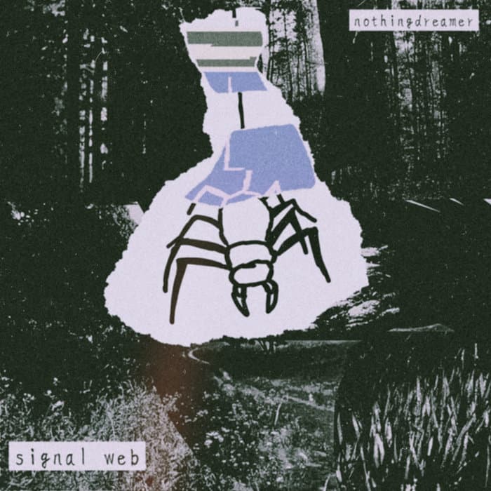 signal web