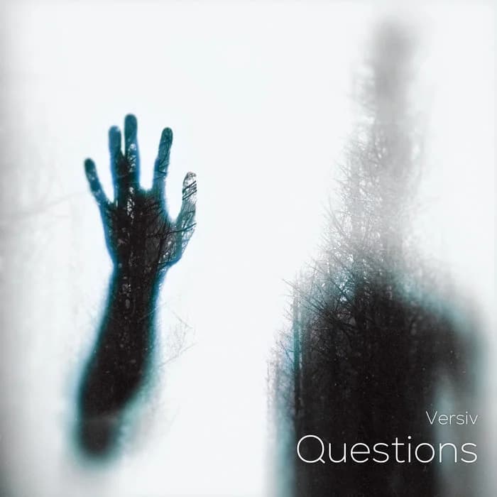 Questions (ft. David Whyte)
