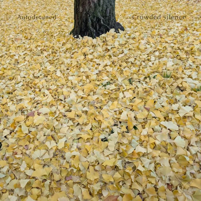 Crowded silence