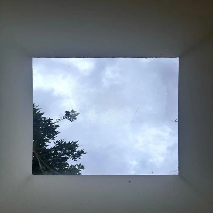 S/T