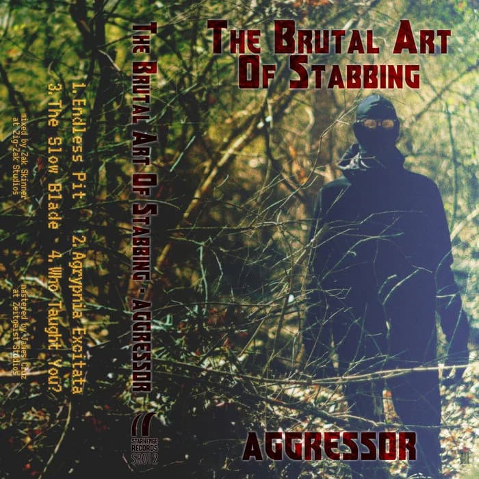 Aggressor/Vital Points