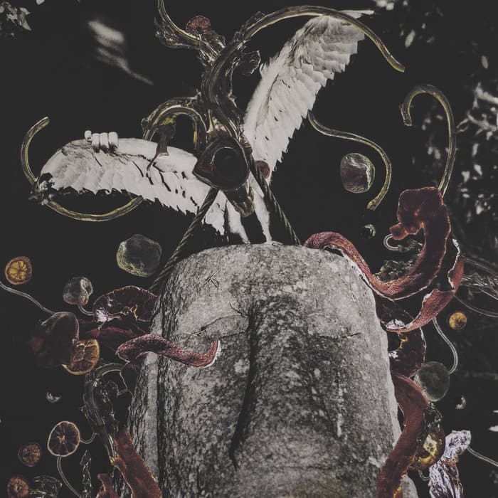 La Grande Mue de l'Entre-deux Gaves