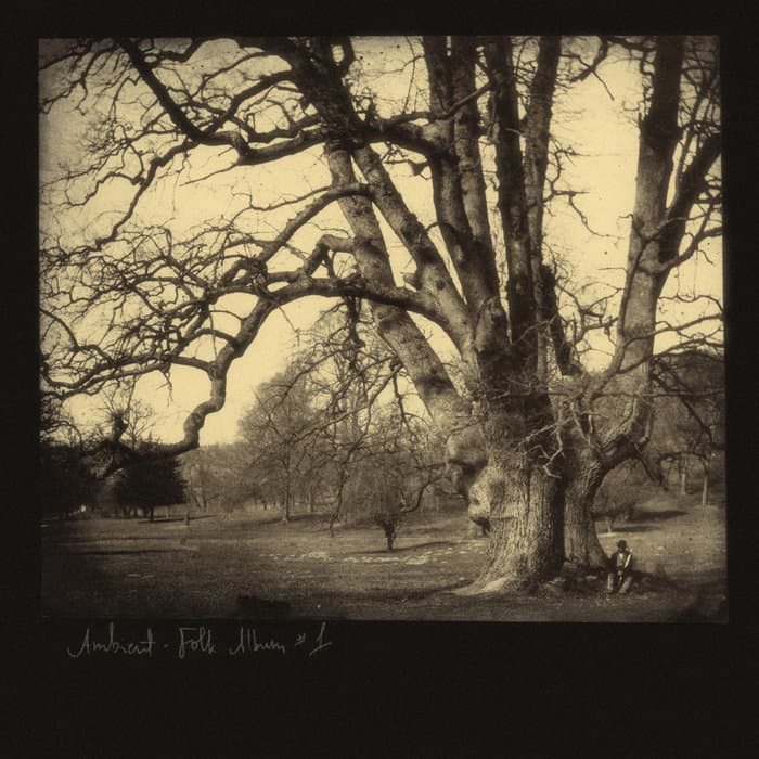 Music for Wooden Rooms (Ambient Folk Album #1)