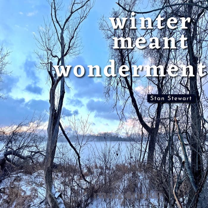 Winter Meant Wonderment