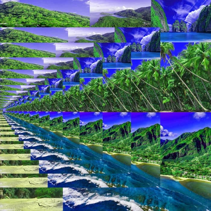 TROPICAL://PLAZA://RAINFOREST&BEACH
