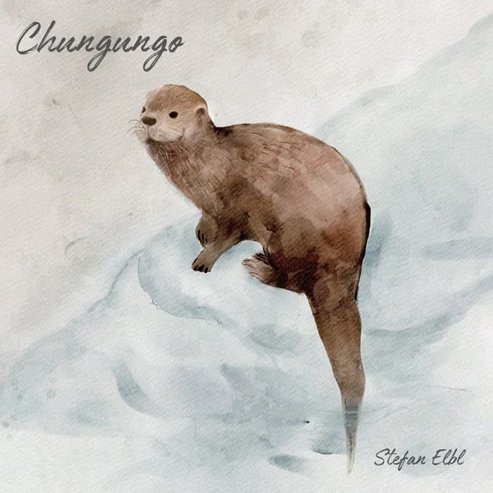 Chungungo
