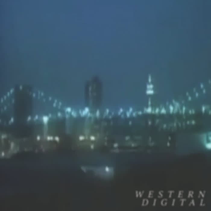 Ｗａｓｔｅｄ  Ｄｉｇｉｔａｌ