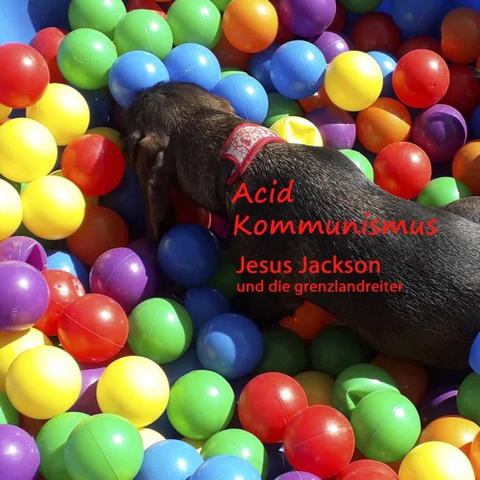 Acid Kommunismus