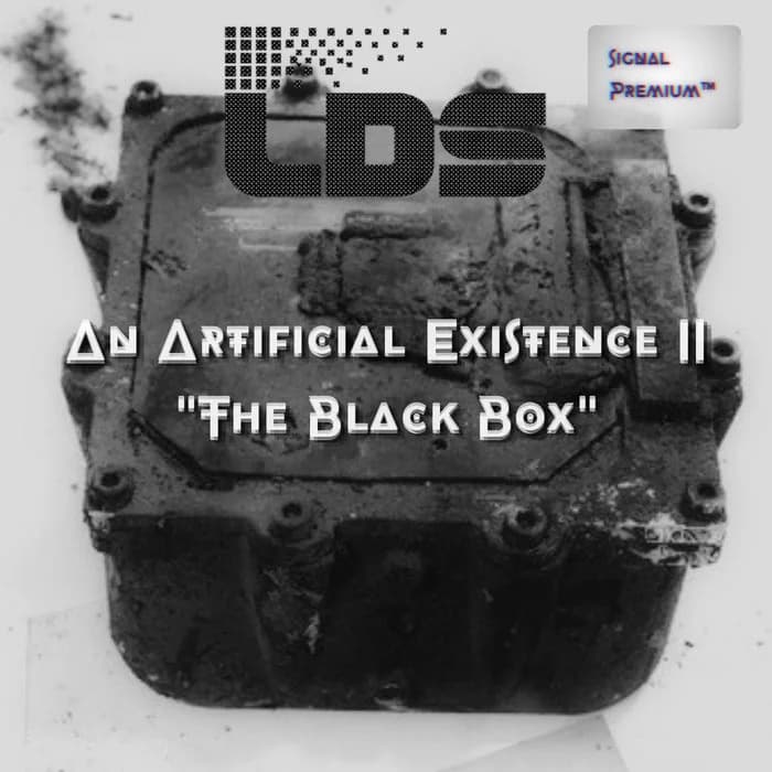 An Artificial Existence II - The Black Box