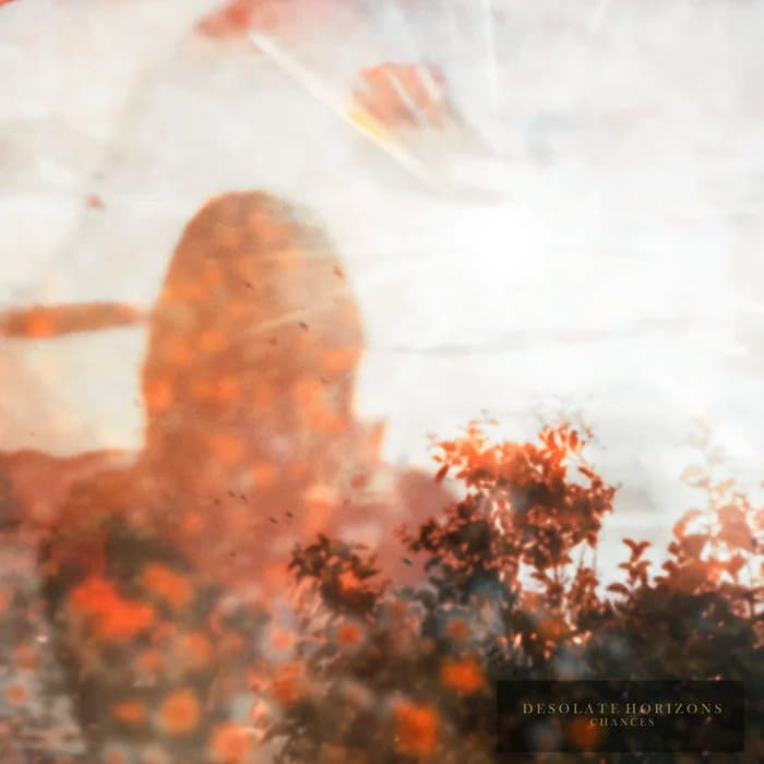 Desolate Horizons - Chances