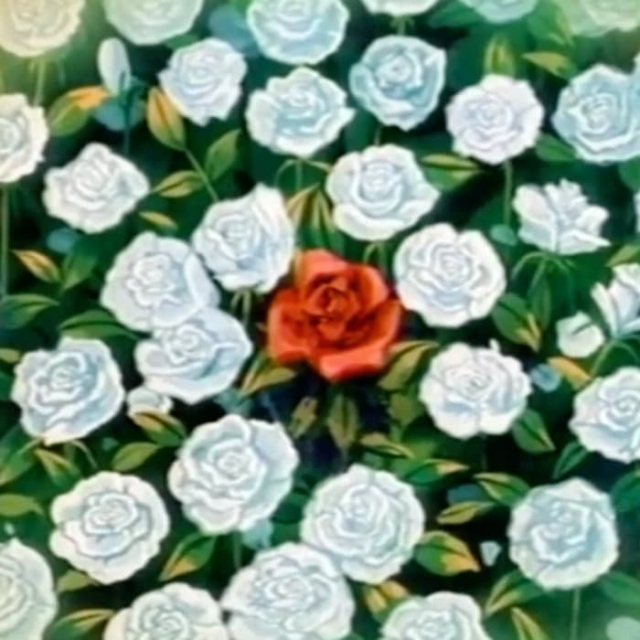 R a d i o　E d e n