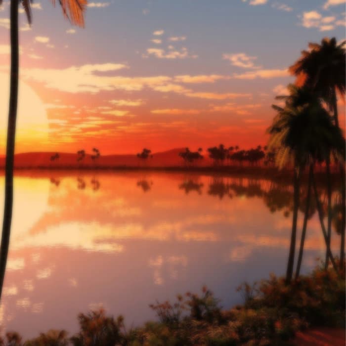 Greetings From Vice City