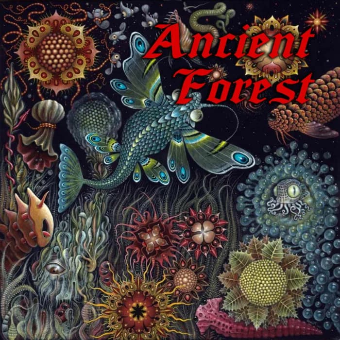 LOUNGEMAN - Ancient Forest