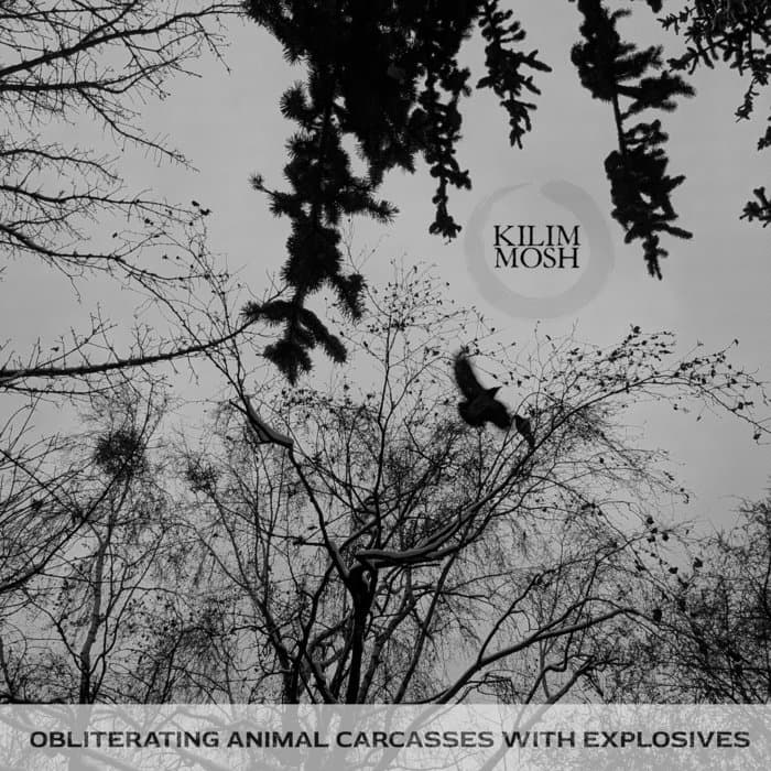 Obliterating Animal Carcasses With Explosives