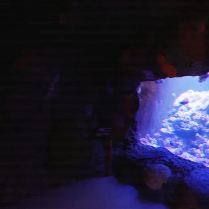 After Hours Aquarium
