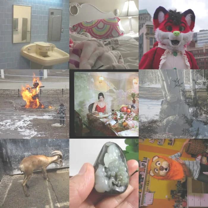 MVI 5777 "Broke the Phone at Anthrocon 2013"